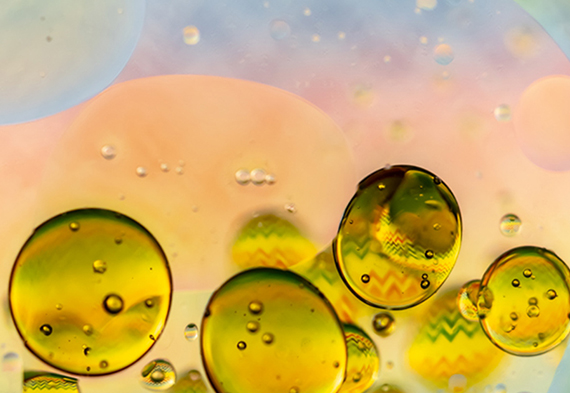 利来w66(中国区)_来利国际旗舰厅